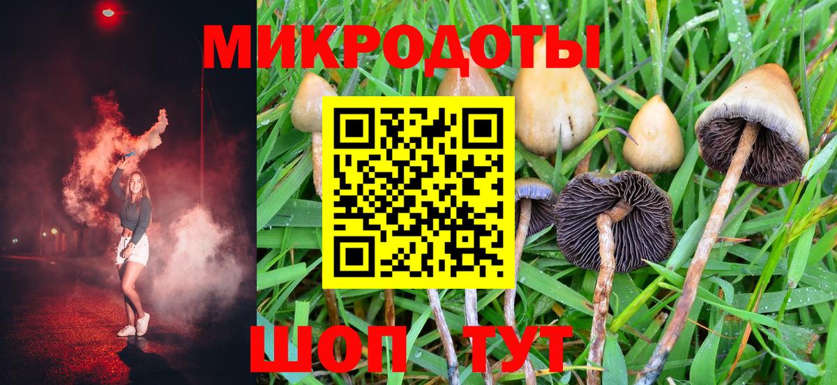 Псилоцибиновые грибы мицелий  Вход с VPN  Краснознаменск 
